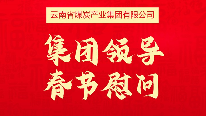 集团向导春节慰问