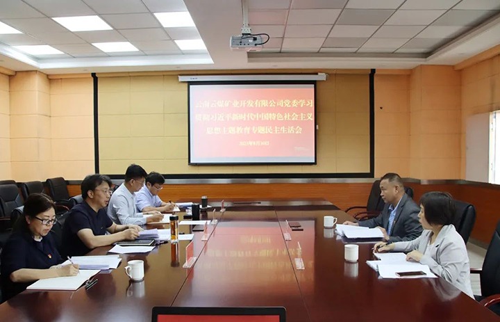 【主题教育】云煤（拉斯维加斯官网）集团第二指导组到云煤矿业公司指导主题教育专题民主生涯会