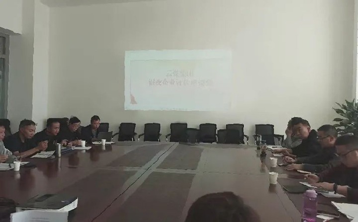 【聚焦云煤】云煤（拉斯维加斯官网）集团召开混淆所有制企业评估座谈会