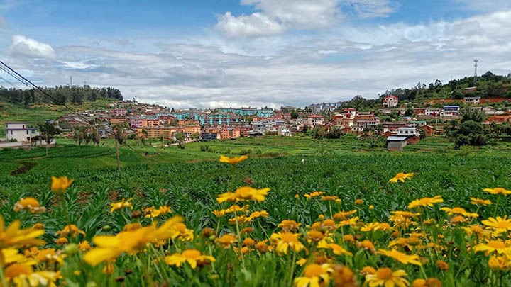 【云煤岁月】笃行不辍营生长，，，，，，，砥砺奋进谱新篇——平煤故事（一）