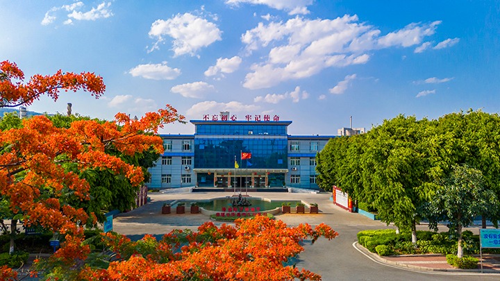 红色基由于引领，，，，，磨练战场写华章  —— 汗水与智慧交织的磨练历程